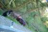dsc_0251_small.jpg